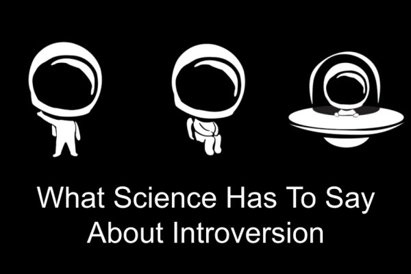 Кракен адрес